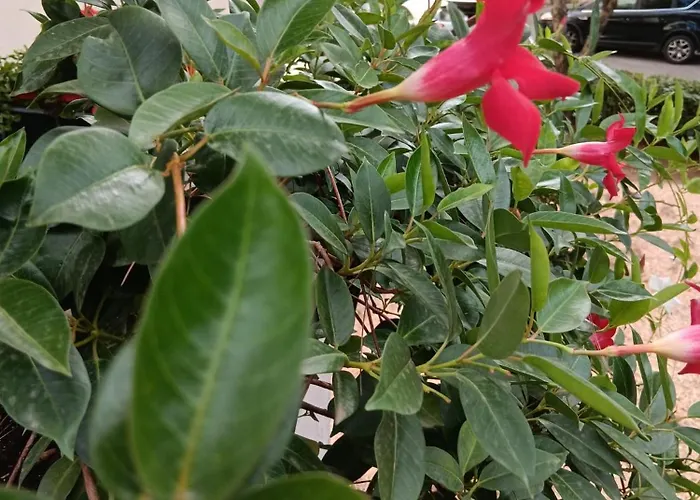 Le Comunicazioni Aparthotel