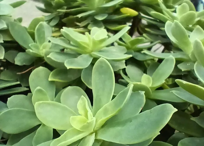 Le Comunicazioni Aparthotel Matera